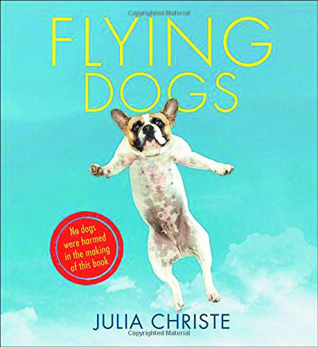 web-flying-dogs