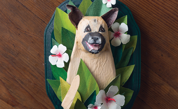 Rani-Pet-Portraits_31