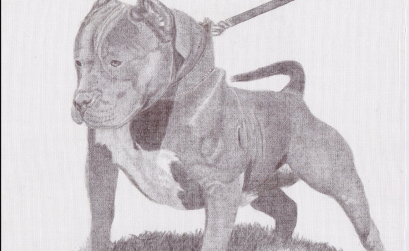 Inmate Dog Art-PeteZaragoza-HR