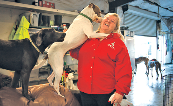 Green Dog Rescue Project-_MG_2206