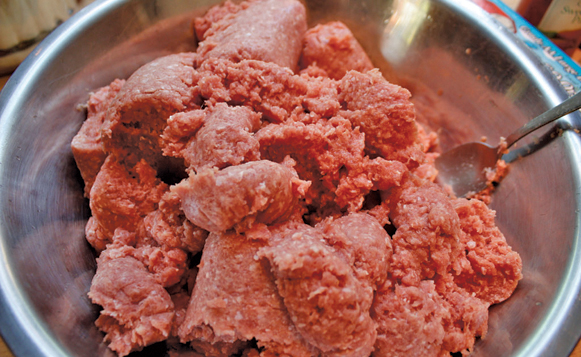 Ground turkey-PathWithPaws-CC2