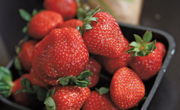 Strawberries-Quinn Dombrowski-CC1