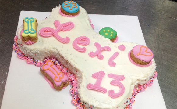 F3 Dog Treats-2 2-18