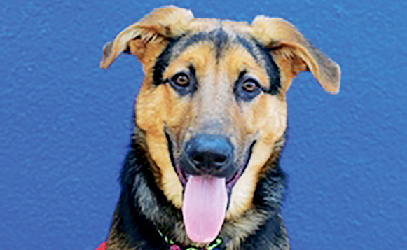 DIW(FFR)Justice09188