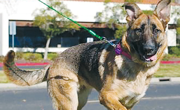 DIW(FFR)Katniss09189