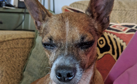 DIW-Tacp_20180920_134022