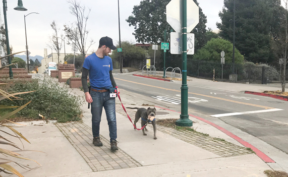 RustyBarnes-Pawgress2