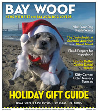 BW01-20Dec2018_3.indd