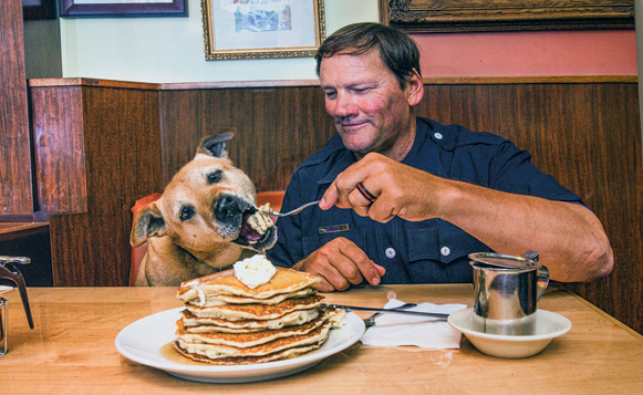 Dog-Holiday-Gift-Guide_2