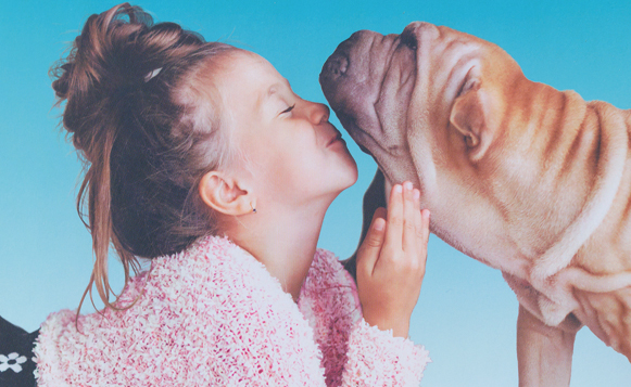 Dog-Holiday-Gift-Guide_8