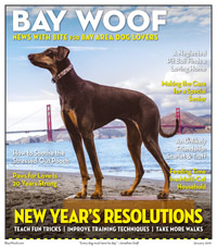 BW01-20Jan2019_1.indd