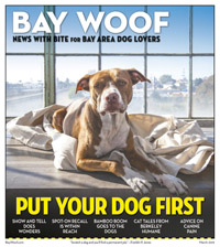 BW 3-19 Pages 1-20.indd