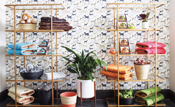 Pawty-PLAY toys _ cozy accessories