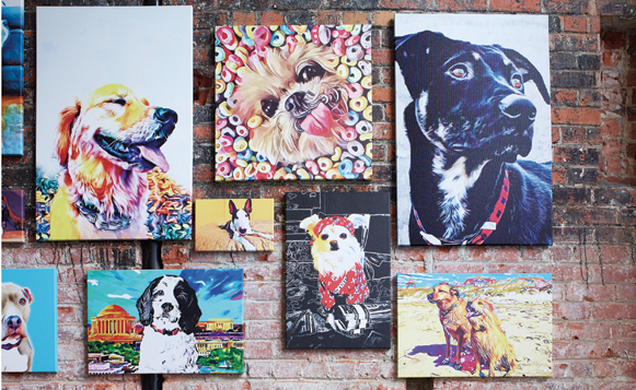 Pawty-Petsy Gallery Wall