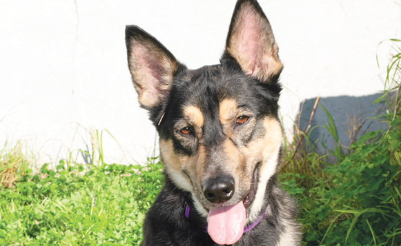 bw 3-19 hunter DSC_0380