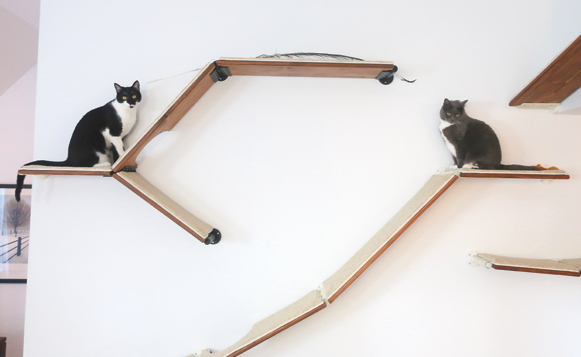 bw 3-19 kittyOutside A2