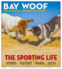 BW 4-19 Pages 1-20.indd