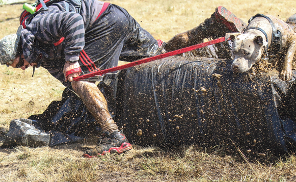 untitled-3716-2-(ZF-4946-06819-1-006)