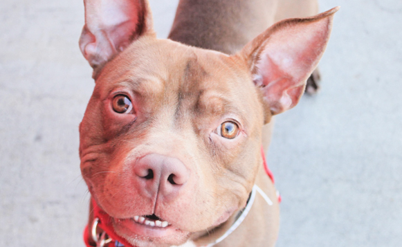 wiggleworthA427176_2