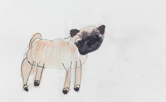 Pug, 2016