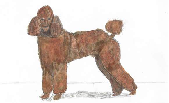 Untitled (Poodle), 2016