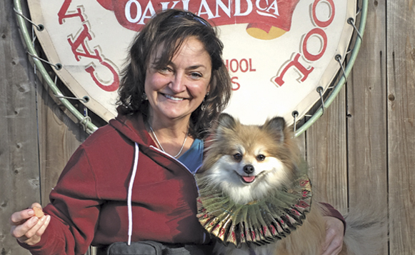 Canine-Circus-School-IMG_5109