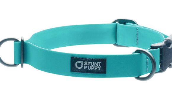SP_Collars_Large_DryTeal_720x