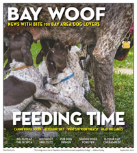 BW 9-19 Pages 1-20.indd