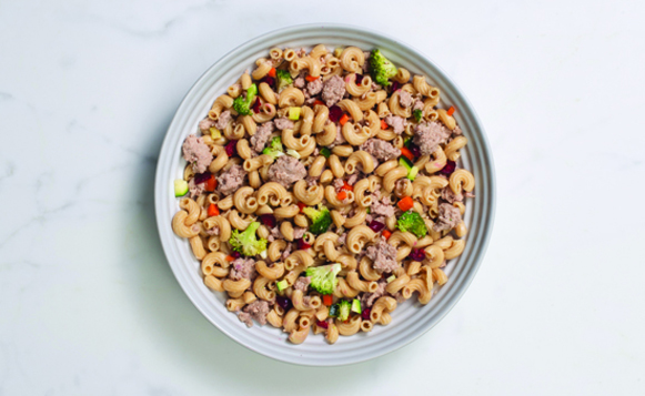 Just Food For Dogs-1