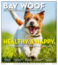 BW 10-19 Pages 1-24.indd