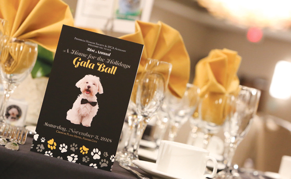 Peninsula Humane Society & SPCA