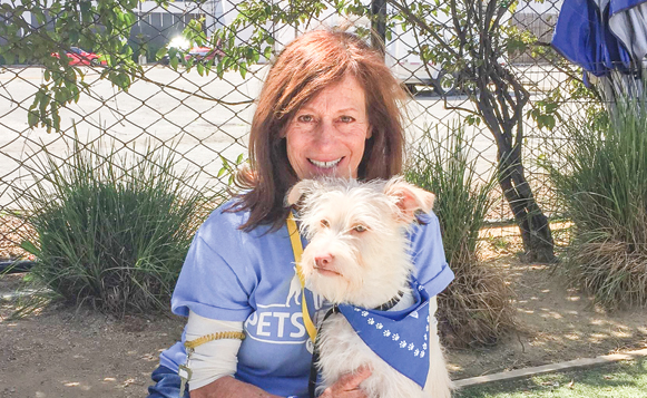 PetsInNeed-30724998_10156356537172363_1922748122732167168_o