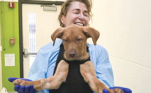 SFSPCA-Robin and pup