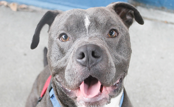 DIWThomasA435611 (2).JPG copy