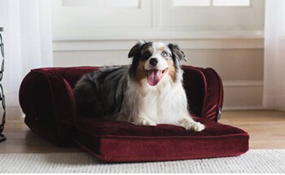 GGHG-Pets-Duchess+Fold-out+Sleeper+Dog+Bolster