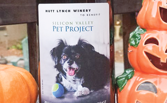 svppwinewithpumpkins