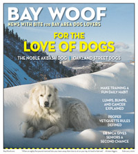 2002BayWoofCoverFeb20-200
