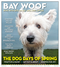 BayWoof_March2020.indd