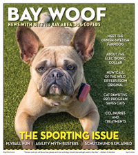 2004BayWoofCoverApr20-200