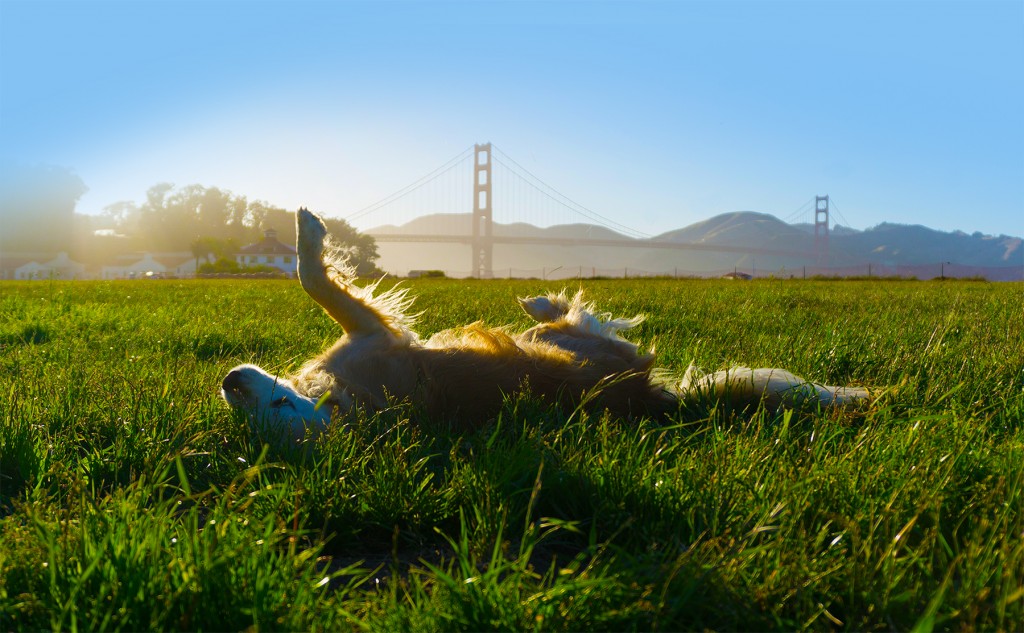 We're moving forward, with you by our side