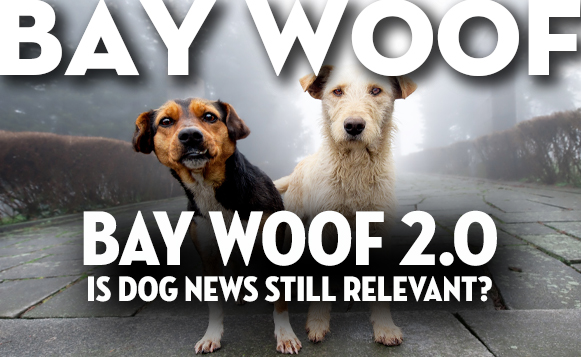 Bay Woof 2.0?